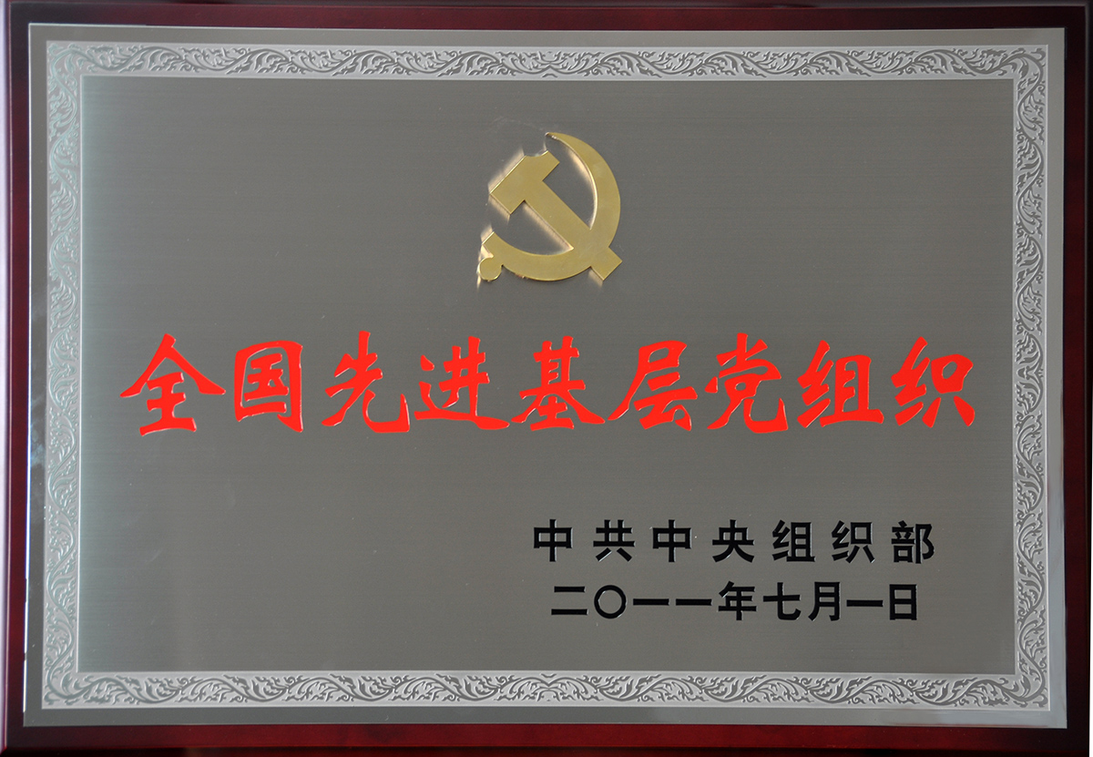 2011年7月，紅豆集團(tuán)黨委榮獲“全國(guó)先進(jìn)基層黨組織”稱號(hào)